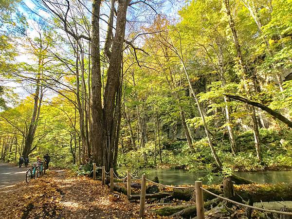 17_181016_095509-7245063.jpg 17_181016_095509-7245063.jpg