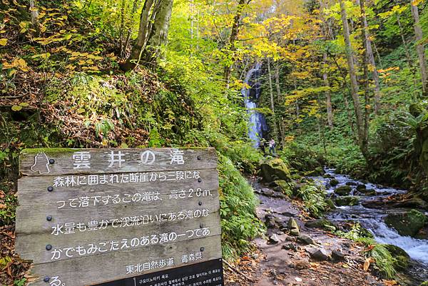 19_IMG_9342.jpg 19_IMG_9342.jpg