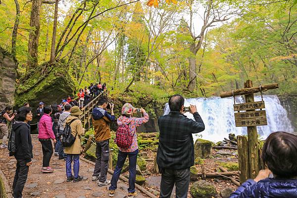 24_IMG_9369.jpg 24_IMG_9369.jpg