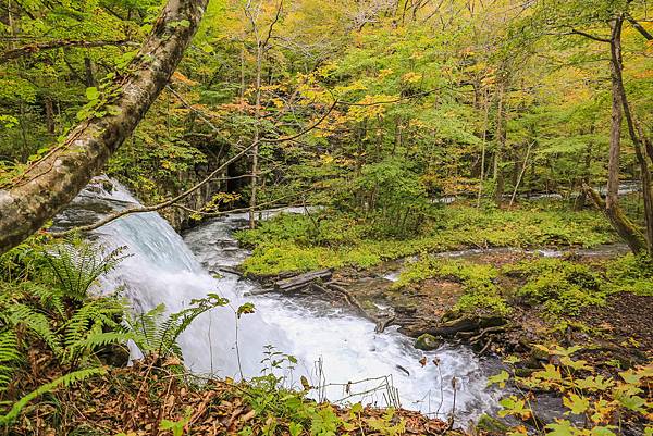 23_IMG_9390.jpg 23_IMG_9390.jpg