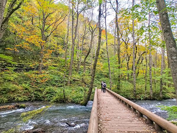 26_181016_124834-4650010.jpg 26_181016_124834-4650010.jpg