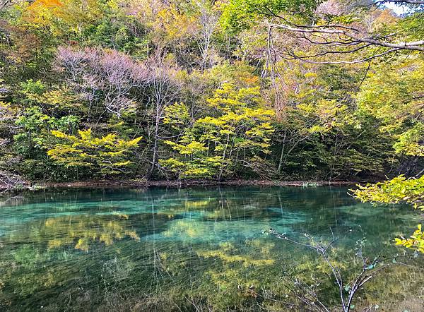 28_181017_132654-6190374.jpg 28_181017_132654-6190374.jpg