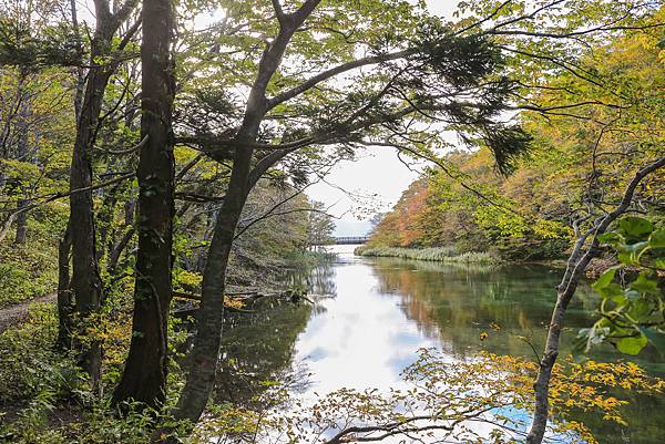 29_IMG_9721.jpg 29_IMG_9721.jpg