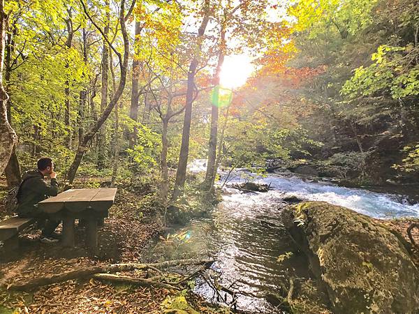 33_181017_134325-5843336.jpg 33_181017_134325-5843336.jpg