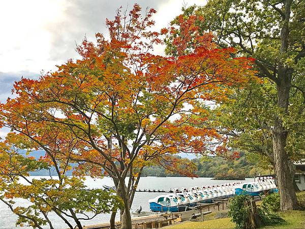 06_181016_144222-5352961.jpg 06_181016_144222-5352961.jpg