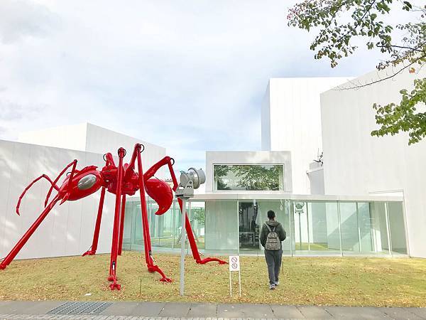 02_181017_085519-2696058.jpg 02_181017_085519-2696058.jpg