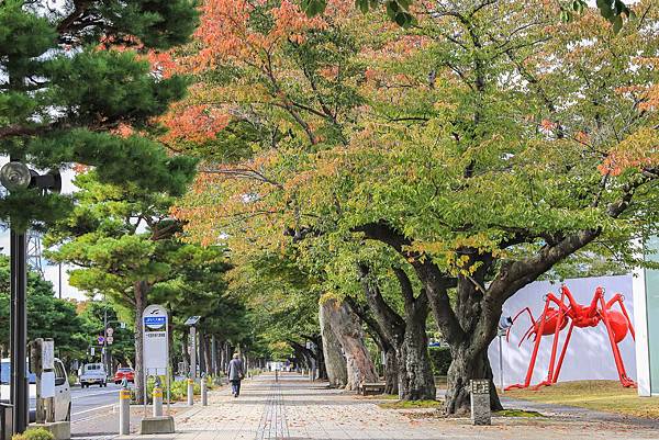 15_IMG_9490.jpg 15_IMG_9490.jpg