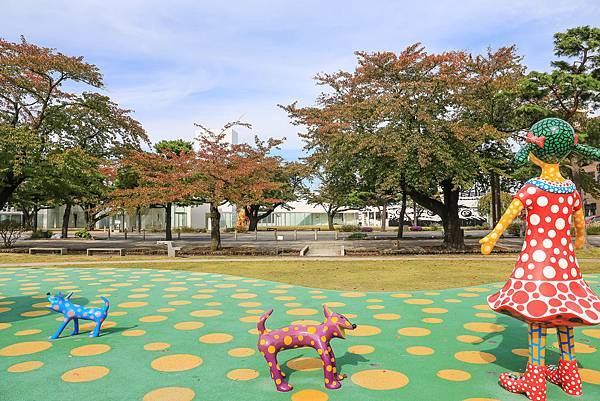 20_IMG_9503.jpg 20_IMG_9503.jpg