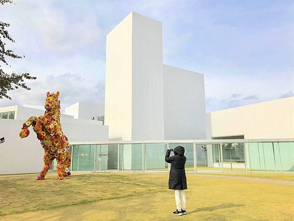 10_181017_090727-2000852.jpg 10_181017_090727-2000852.jpg