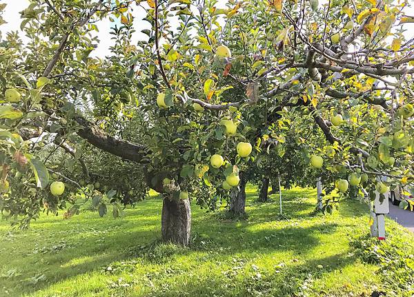 03_181018_124054-5698674.jpg 03_181018_124054-5698674.jpg