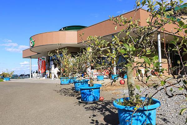 07_IMG_9979.jpg 07_IMG_9979.jpg