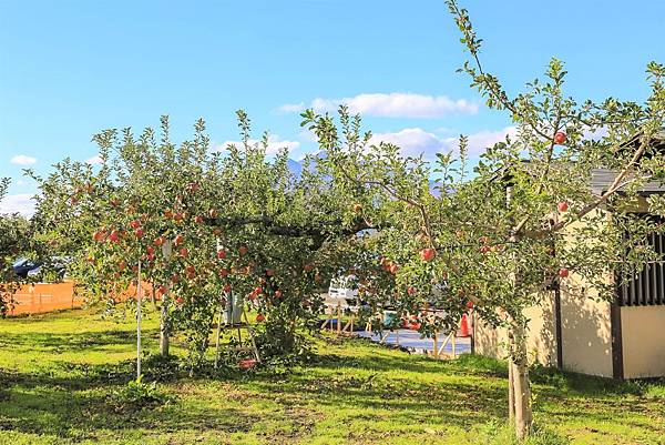 05_IMG_9966.jpg 05_IMG_9966.jpg