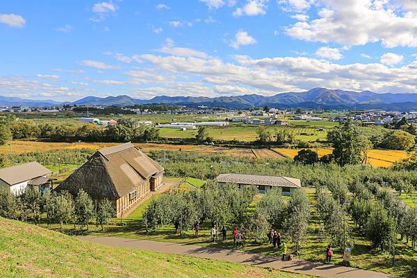 11_IMG_9989.jpg 11_IMG_9989.jpg