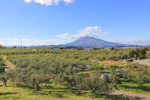 13_IMG_9999.jpg 13_IMG_9999.jpg