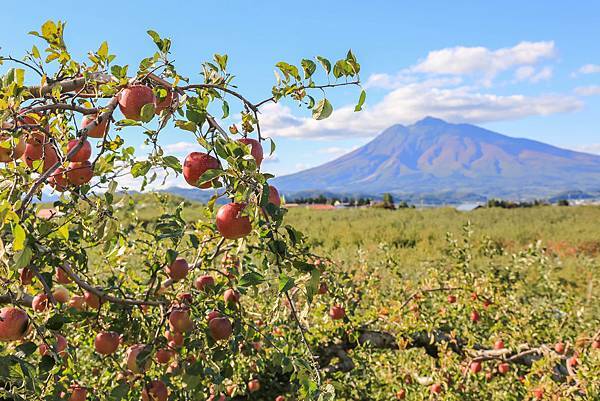 14_IMG_0004.jpg 14_IMG_0004.jpg