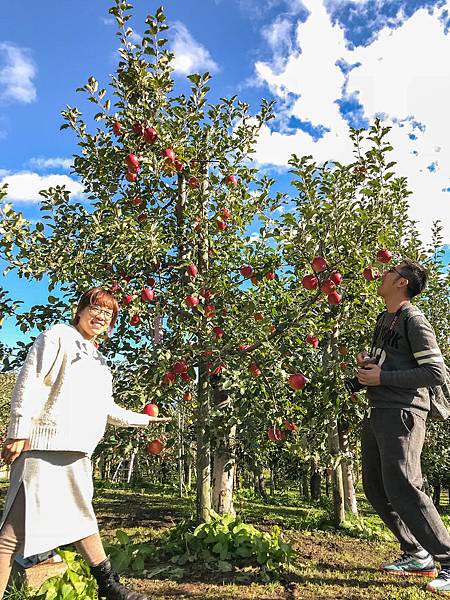 18_181018_131028-3992015.jpg 18_181018_131028-3992015.jpg