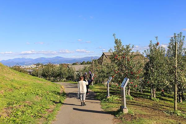 17_IMG_0012.jpg 17_IMG_0012.jpg