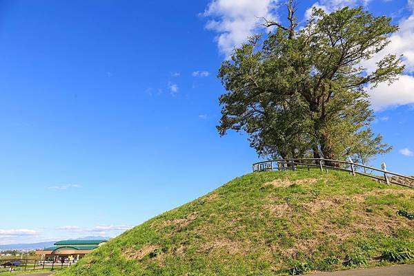 15_IMG_0010.jpg 15_IMG_0010.jpg