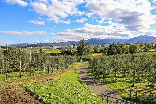 16_IMG_0013.jpg 16_IMG_0013.jpg