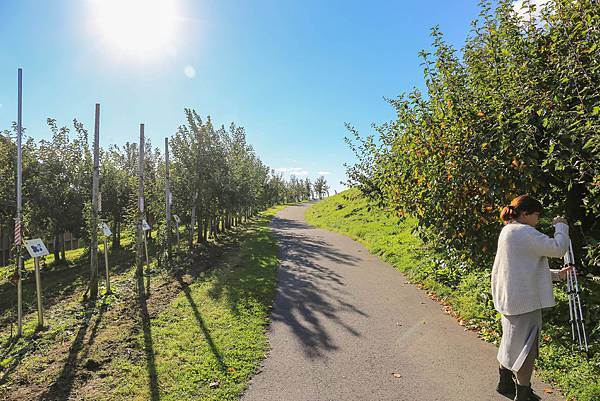 19_IMG_0017.jpg 19_IMG_0017.jpg