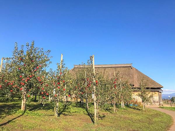 23_181018_133451-4172058.jpg 23_181018_133451-4172058.jpg