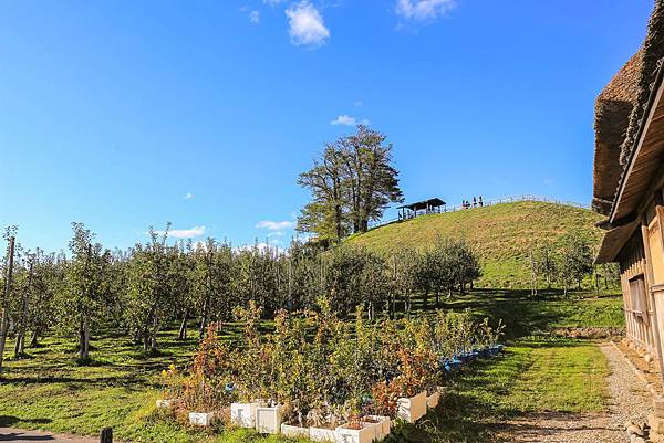 24_IMG_0037.jpg 24_IMG_0037.jpg