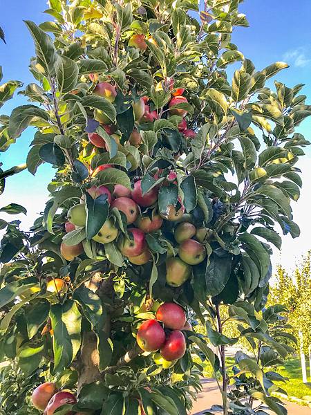 29_181018_141809-4289607.jpg 29_181018_141809-4289607.jpg