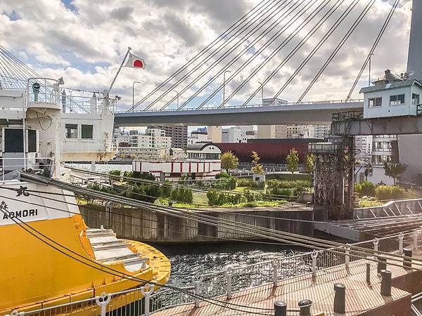 29_181019_103154-2834857.jpg 29_181019_103154-2834857.jpg