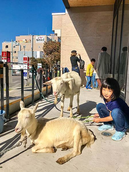 01_181020_114553-3231564.jpg 01_181020_114553-3231564.jpg