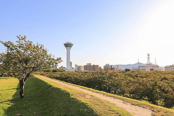 11_IMG_0463.jpg 11_IMG_0463.jpg