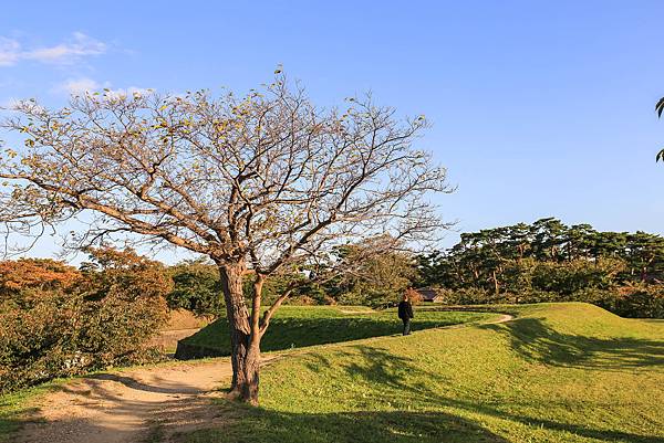 12_IMG_0467.jpg 12_IMG_0467.jpg