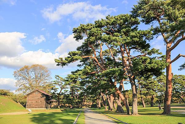 16_IMG_0478.jpg 16_IMG_0478.jpg