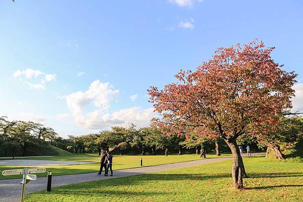 18_IMG_0481.jpg 18_IMG_0481.jpg