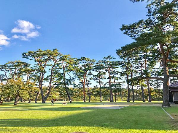 19_181020_142625-4738858.jpg 19_181020_142625-4738858.jpg