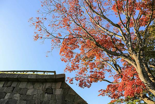 06_IMG_0424.jpg 06_IMG_0424.jpg