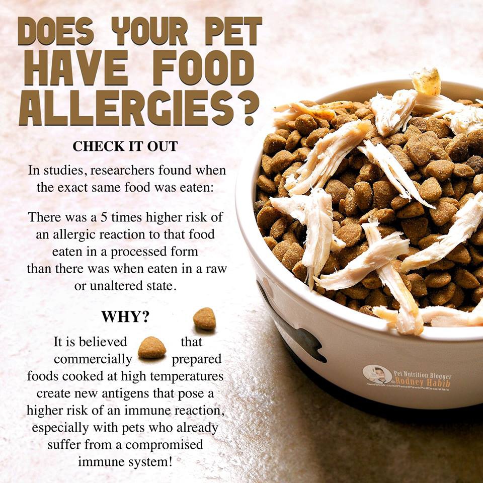 12118718_818996074875939_5172180702375216668_n