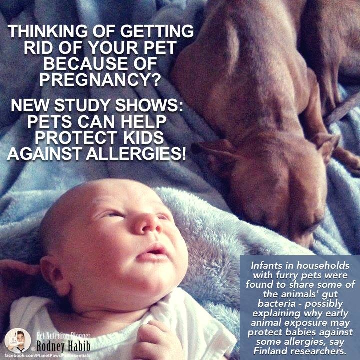 12096589_807548612687352_2616218584015907930_n 12096589_807548612687352_2616218584015907930_n