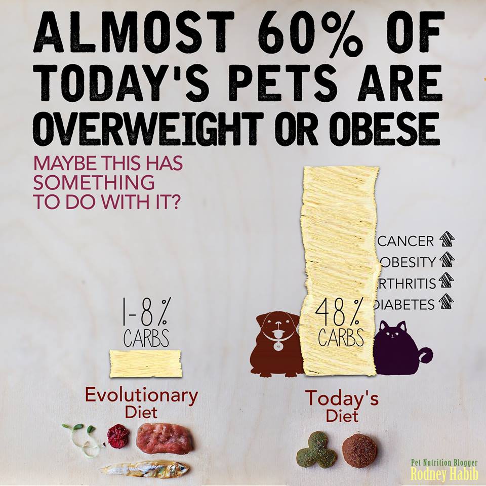 11891128_786250561483824_7480734710183001838_n 11891128_786250561483824_7480734710183001838_n