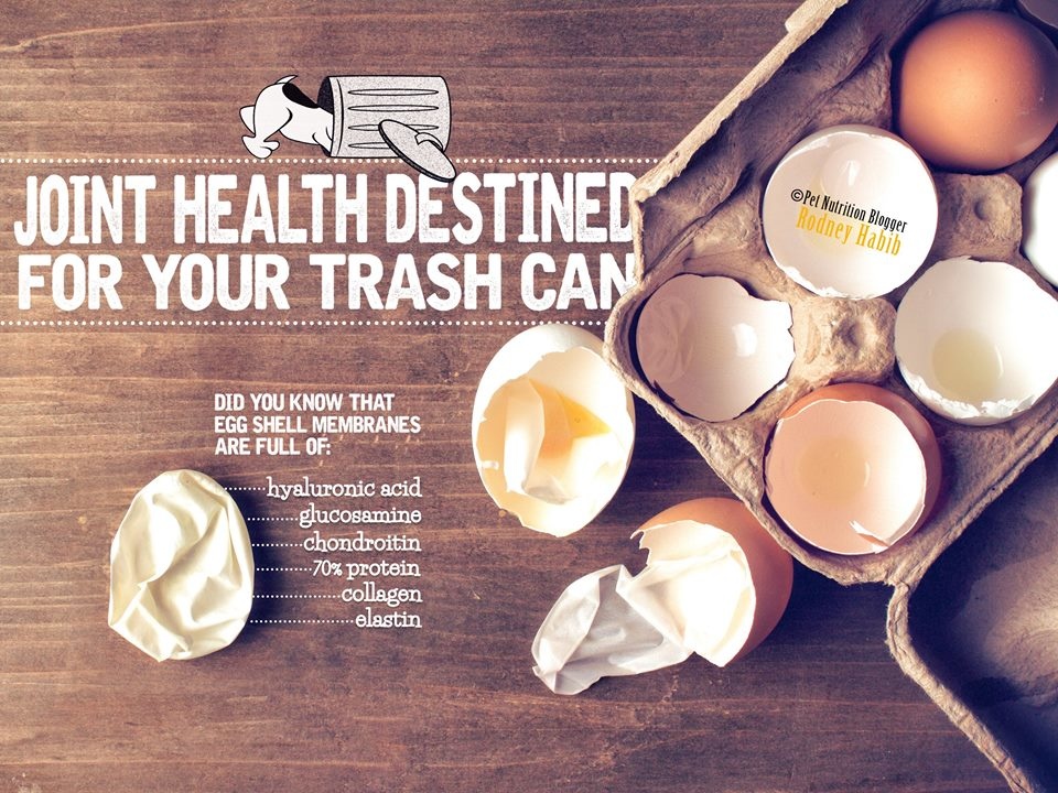 11822767_785676291541251_3069446015583732259_n 11822767_785676291541251_3069446015583732259_n