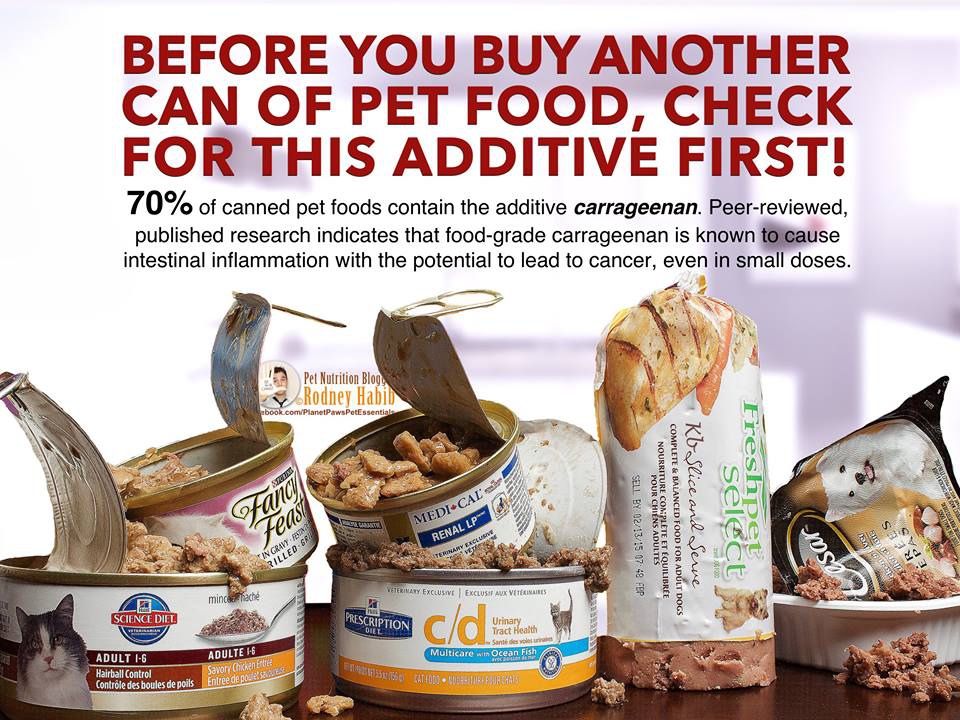 12243217_827106580731555_4298547159567189243_n 12243217_827106580731555_4298547159567189243_n