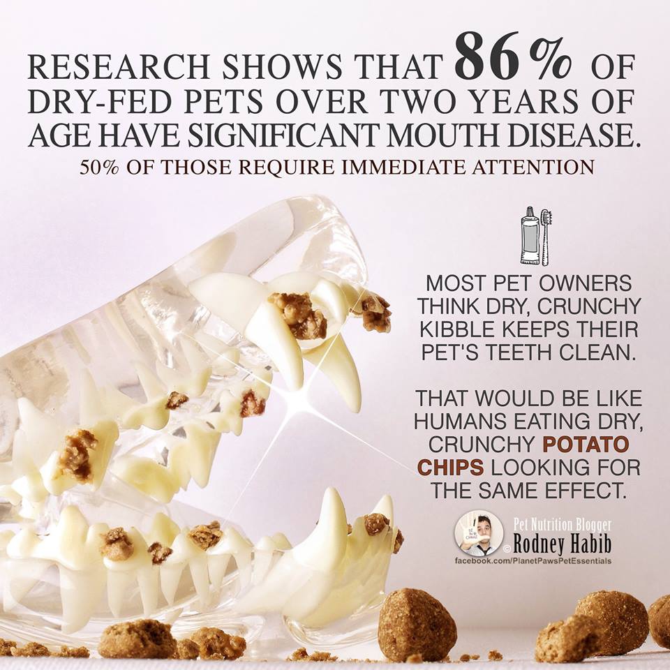 12144705_809828055792741_178436535884365923_n 12144705_809828055792741_178436535884365923_n