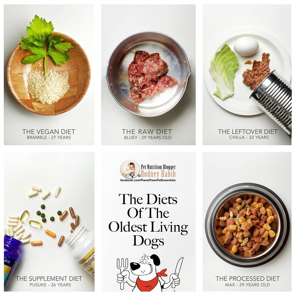 12046918_933334223408127_4308354453585745682_n