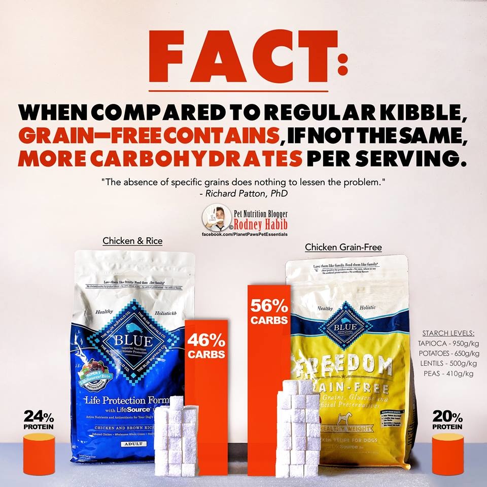 12042913_931024456972437_1073009003002331797_n