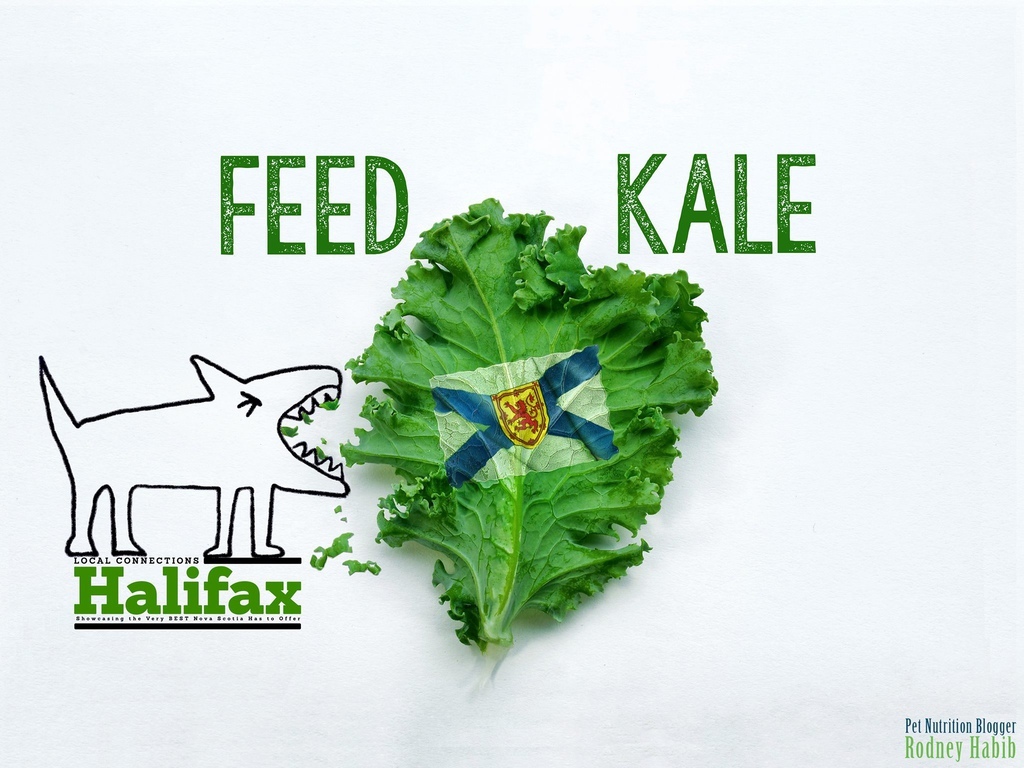 11393640_875082275899989_8456233041648993925_o 11393640_875082275899989_8456233041648993925_o