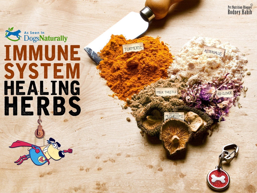 11424004_872541159487434_2130402880475460288_o 11424004_872541159487434_2130402880475460288_o