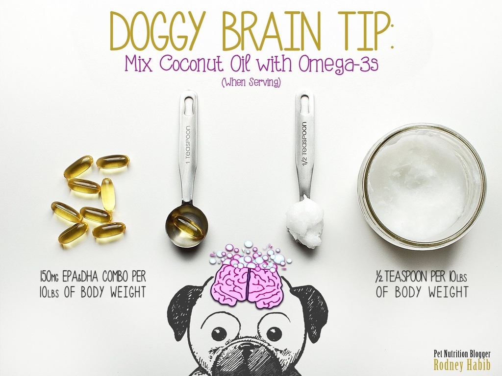 10848971_868960969845453_5166278321272258752_o