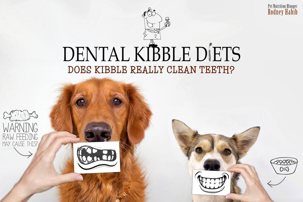 11240477_864143713660512_4820402732304915530_o