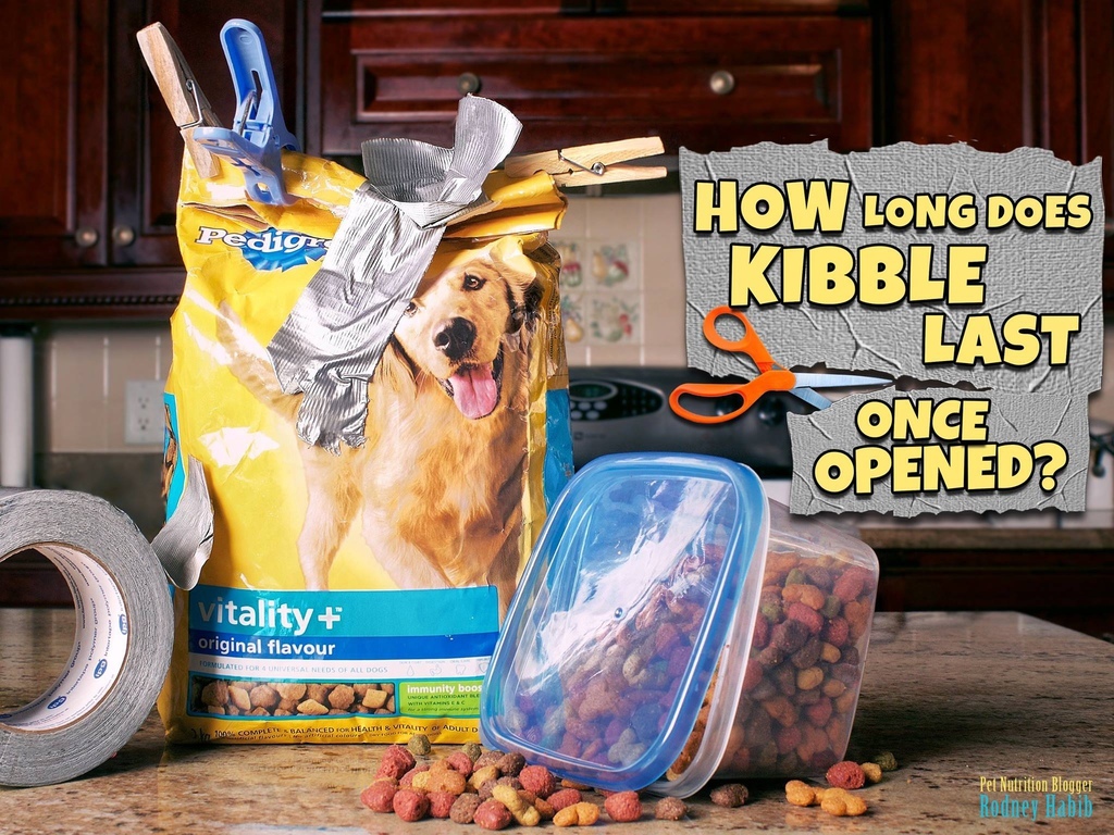 11219473_862585877149629_67213639245902387_o 11219473_862585877149629_67213639245902387_o