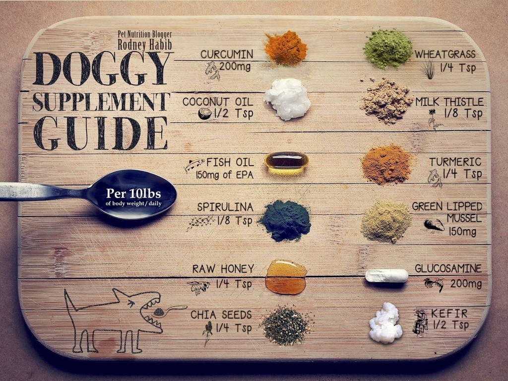 11164567_857171347691082_7026882971333782307_o 11164567_857171347691082_7026882971333782307_o