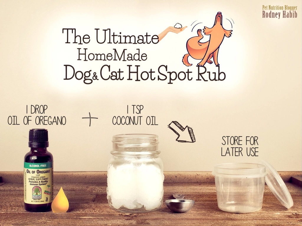 11155085_855063334568550_5468484200211276102_o 11155085_855063334568550_5468484200211276102_o